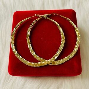 Elegant 14k Gold Filled Hoop Earrings